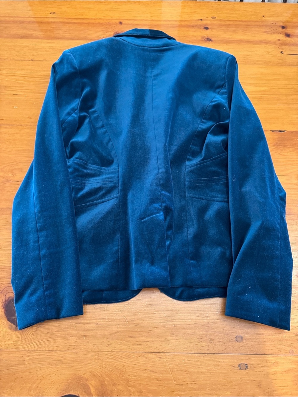 Cache Teal Velvet Blazer and Pants Set - Picture 4 of 13